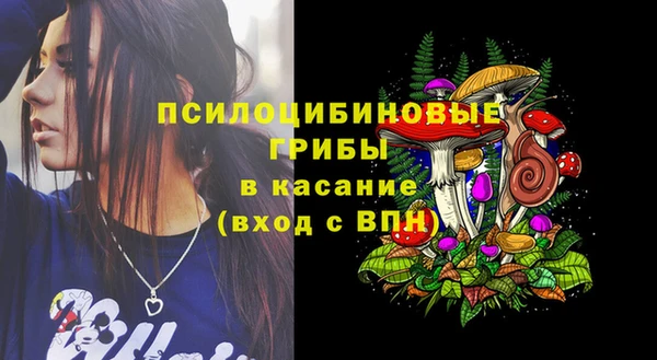 индика Карталы