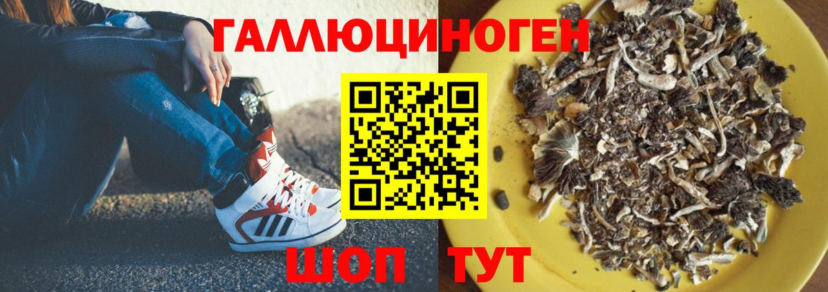 Каменск-Шахтинский  Галлюциногенные грибы GOLDEN TEACHER  как найти закладки  Вход с VPN 