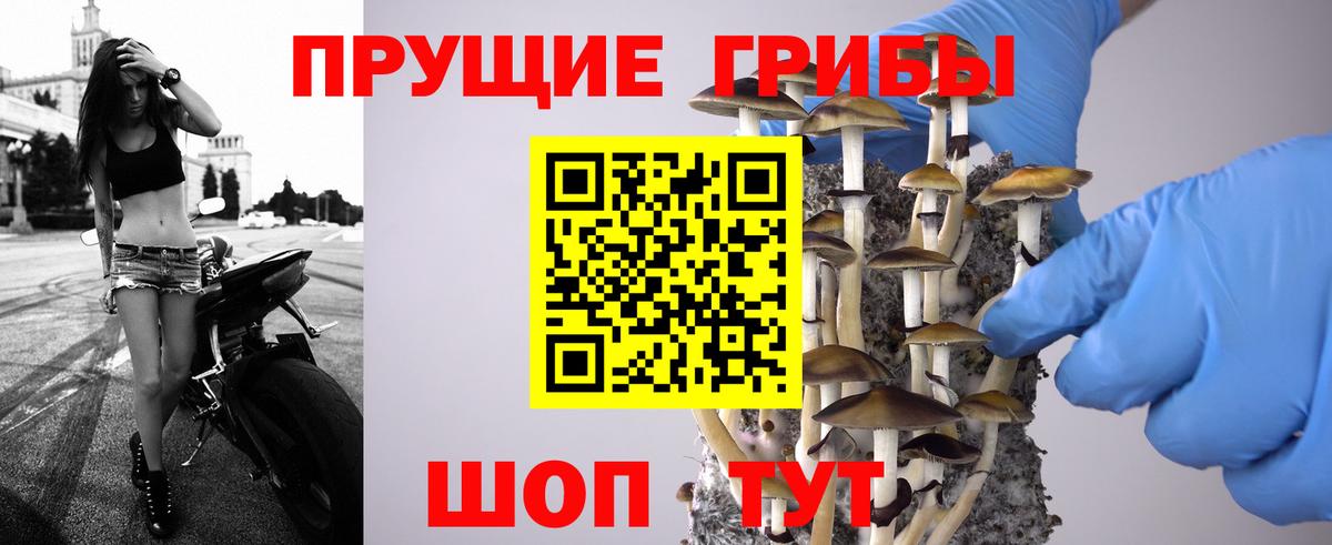 Наркошоп  Каннабис  Alpha PVP СОЛЬ   Каменск-Шахтинский  ГАШИШ  МАРИХУАНА  Вход с VPN  Меф кристаллы  Экстази 